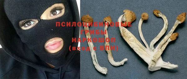 спайс Володарск