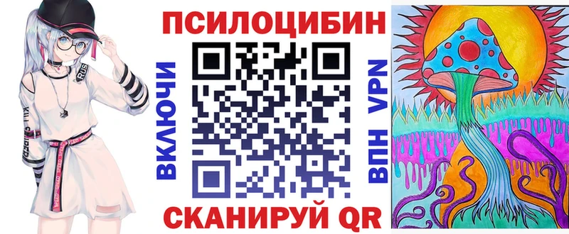 Купить закладки  Шуя  Псилоцибиновые грибы GOLDEN TEACHER 